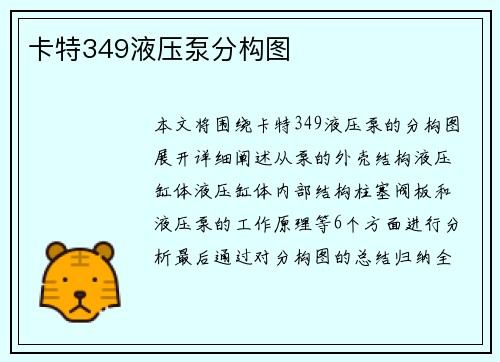 卡特349液压泵分构图